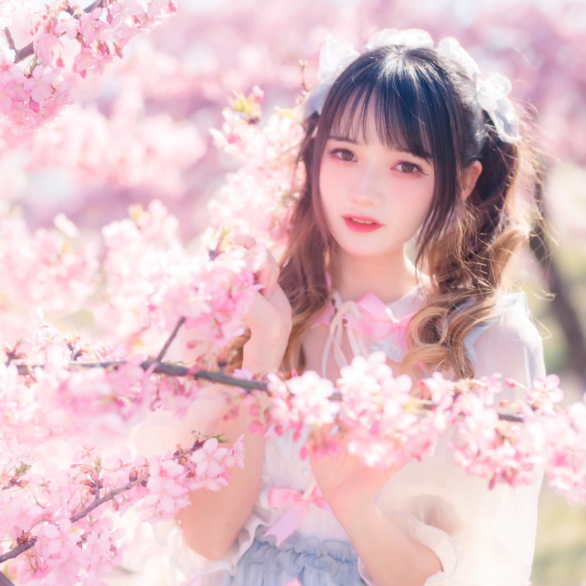 图片[1]-兔子Zzz不吃胡萝卜 – NO.018 粉色春天 [23P]-XikXak